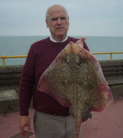 Michael Crotty with his 13lb 14oz (6.28kg) thornback ray caught from the pier using bluey.